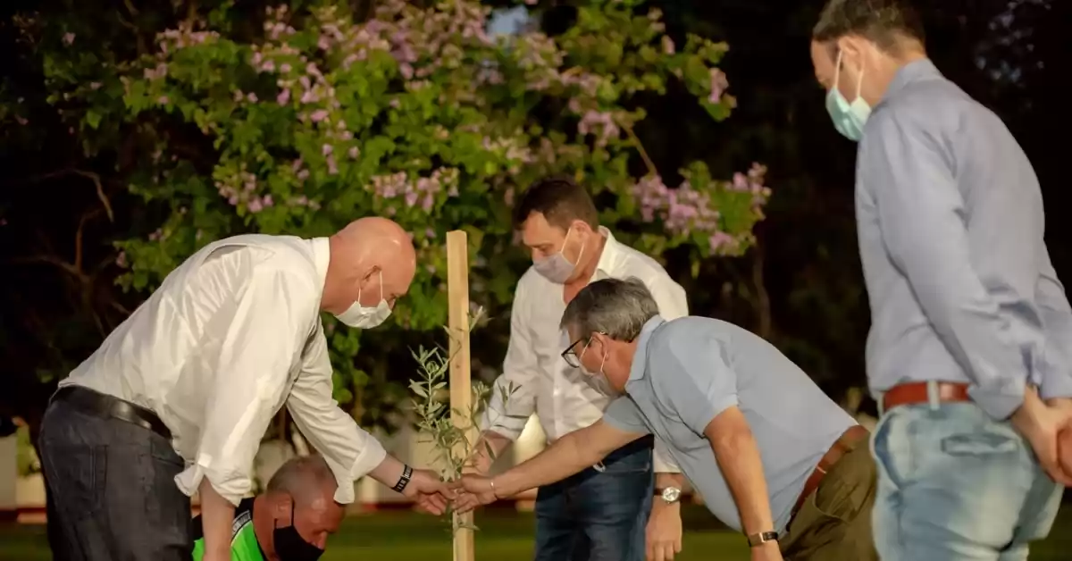 Complejo Museológico: Plantaron un Olivo Histórico oriundo de la chacra de San Martín