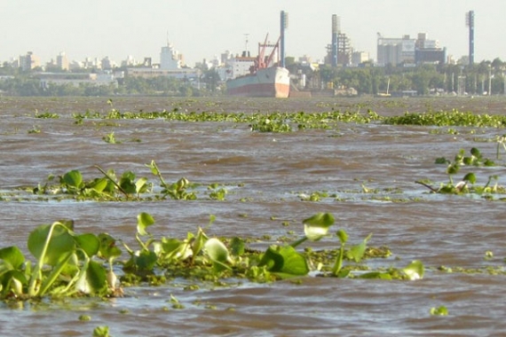 Recomendaciones de Prefectura ante la crecida del Río Paraná