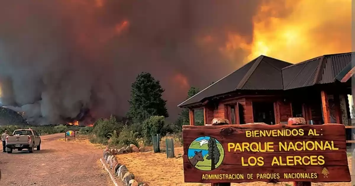 Más de mil hectáreas afectadas por el fuego en el Parque Nacional Los Alerces 