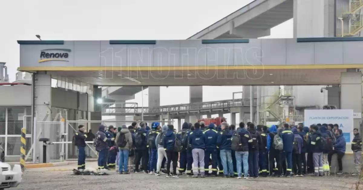 Continúa el paro aceitero por otras 24 horas