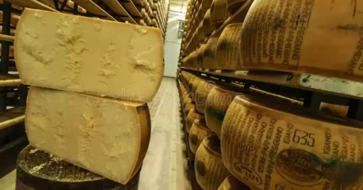 Un hombre murió aplastado por ruedas de queso en el norte de Italia