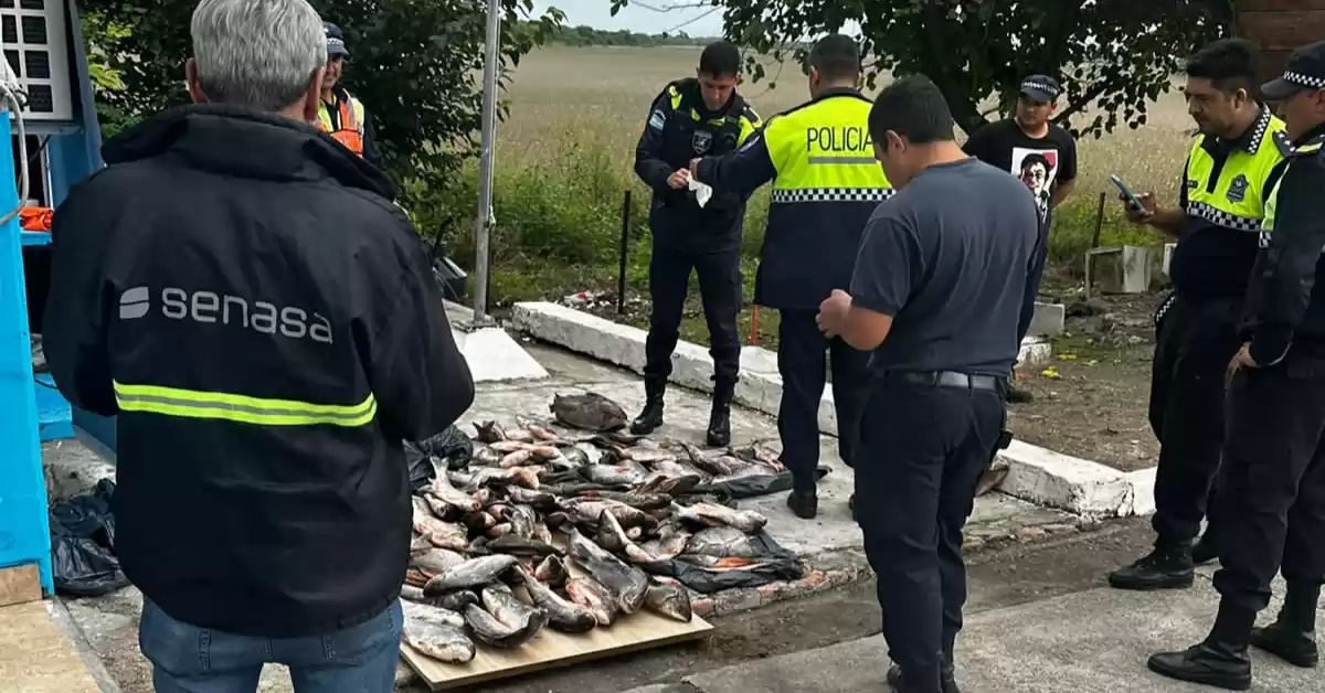 Decomisaron 200 kilos de pescado sin condiciones sanitarias para su consumo 