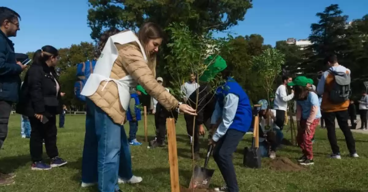 Plantarán árboles en Rosario en el marco de la Semana del Ambiente 