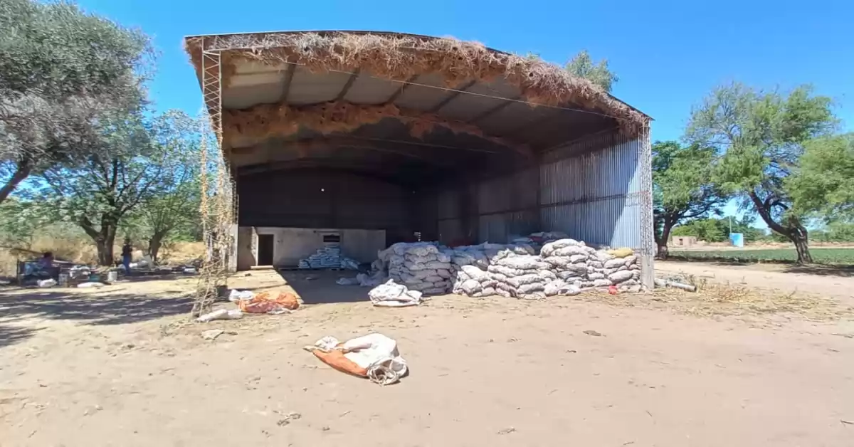 Allanaron un domicilio en Calamuchita donde ejercían explotación laboral a una pareja y su hijo