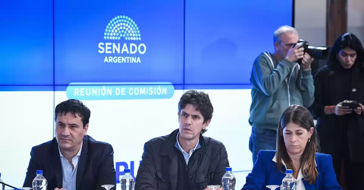 Ley Bases: Acuerdo de la UCR y el Gobierno con el envío de fondos solo para la UBA