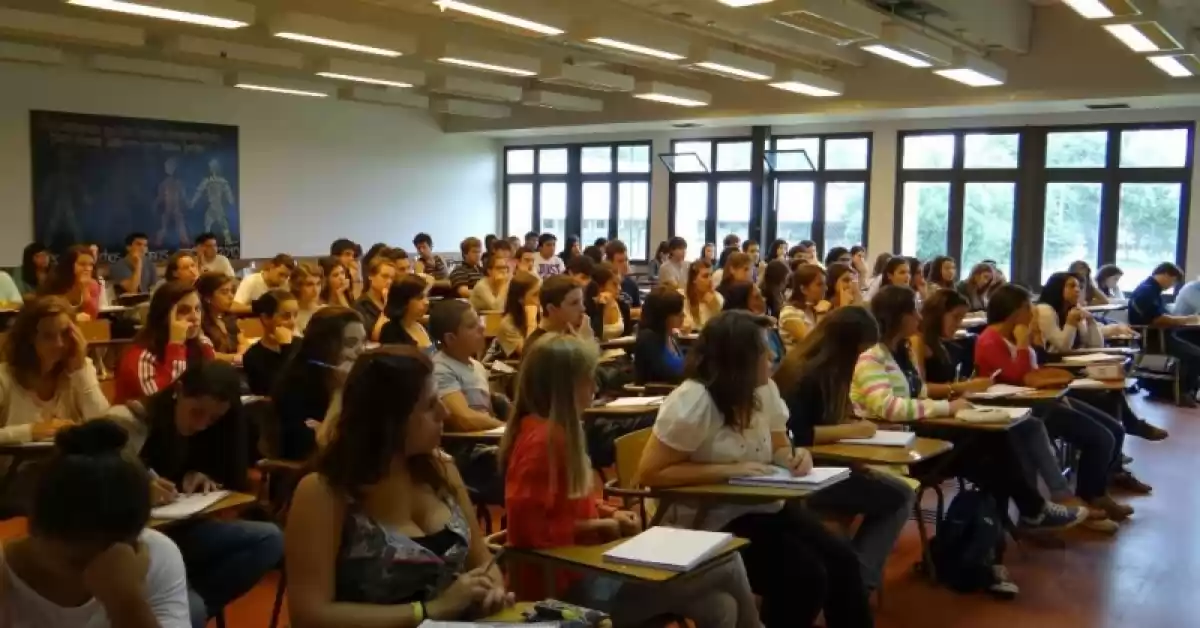 Docentes universitarios van al paro jueves y viernes