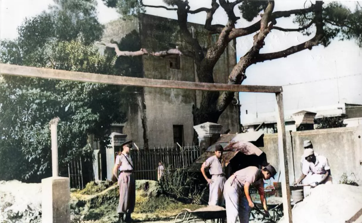 Se presentará en San Lorenzo la biografía del sabio japonés que salvó al Pino Histórico