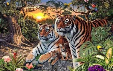 El reto viral que revoluciona Facebook: ¿Cuántos tigres ves?