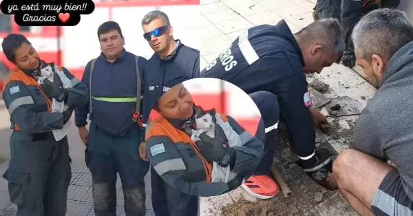 Bomberos de Fray Luis Beltrán rescataron a un gatito que quedó atrapado en una cañería