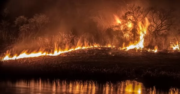 Cabandié pidió que se avance en la investigación judicial por los incendios en el Delta del Paraná