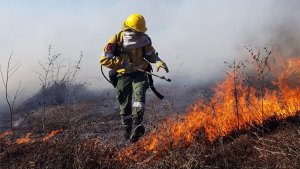 Informan que los incendios de las islas se encuentran extinguidos o bajo guardia de cenizas