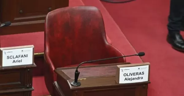 Verónica Colombo jurará como reemplazo de la Locomotora Oliveras en la Convención Constituyente