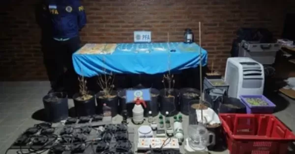 Secuestraron 40 kilos de marihuana y millones de pesos tras un operativo federal en Rosario y Roldán