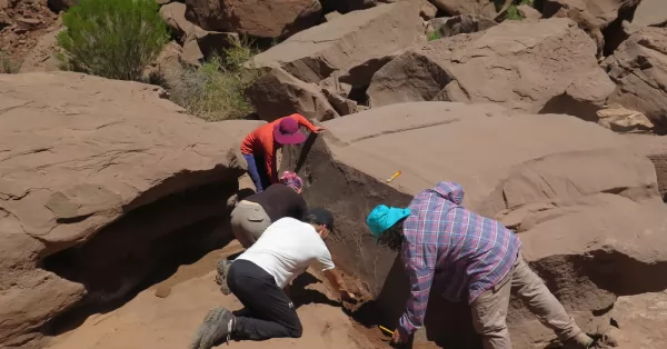 Descubrimiento en La Rioja: huellas fósiles revelan nueva fauna que habitó hace 15 millones de años