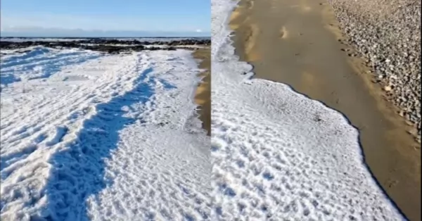 Se congelaron las olas del mar en Tierra del Fuego