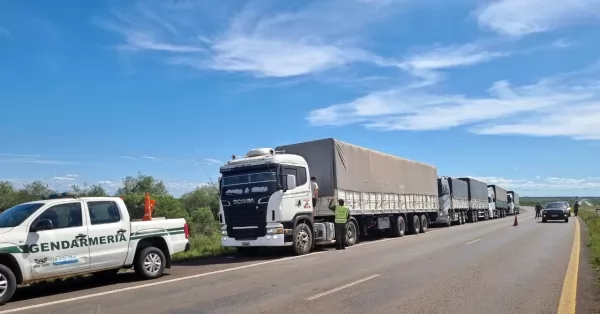 Cinco camiones transportaban 175 toneladas de soja sin aval legal