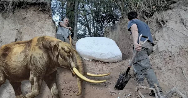 Importante hallazgo paleontológico: encontraron un cráneo de mastodonte en el Arroyo Pavón