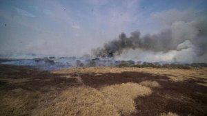 Cabandié sobrevoló zonas incendiadas del delta del Paraná y Córdoba