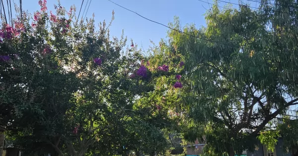 Temperatura agradable para este jueves pos navidad