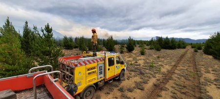 Se redujeron a dos, las provincias con incendios forestales activos
