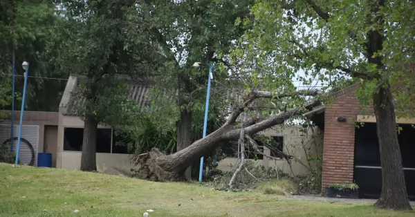 Beltrán: continúan los trabajos, pos tormenta, para poner en funcionamiento el camping municipal