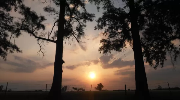 Cambio de tiempo en el Cordón Industrial con lluvias aisladas, viento y baja de temperatura