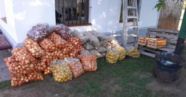 Decomiso récord: Senasa incautó 5,5 toneladas de mercadería irregular en Salta