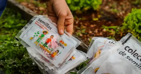 Este sábado habrá un taller gratuito de Huerta y entrega de semillas en Fray Luis Beltrán