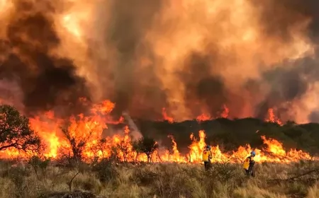 Controlaron los incendios que arrasaron 40 mil hectáreas en Córdoba