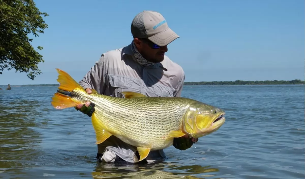 Abrió la inscripción para el primer torneo de pesca con devolución en Timbúes 