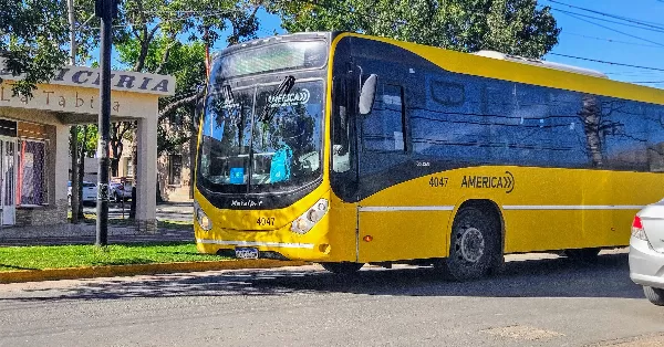 Se levanta el paro de colectivos y el servicio es normal este miércoles 