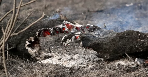 Las desoladoras fotos de cómo quedó la isla tras las quemas frente a San Lorenzo