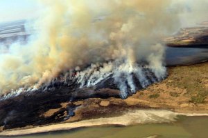 Diputados buscan prohibir la venta de terrenos incendiados por 60 años