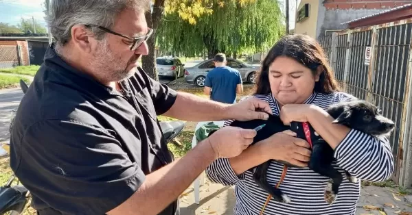 Este martes habrá campaña de vacunación antirrábica y desparasitación en barrio Supe