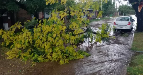 La provincia lleva adelante un proceso de evaluación de los daños que causó la tormenta en la región