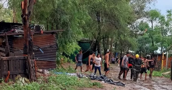 Bermúdez: un árbol cayó sobre una casa y dos menores resultaron heridos