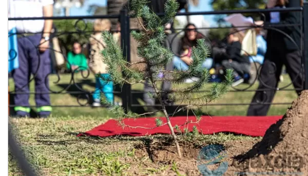 Esperanza plantó un “nieto” legítimo del histórico pino de San Lorenzo