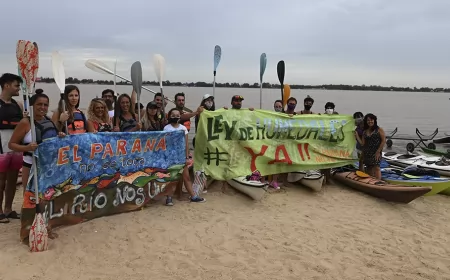 Ecologistas limpiaron la Isla de los Mástiles en el Día de Acción en Defensa de los Ríos