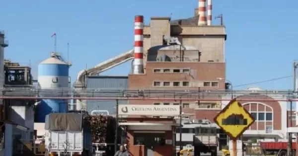 Pidieron la quiebra de Celulosa Argentina y crece la preocupación en la región