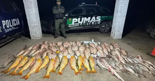 Decomisan más de cien pescados en un operativo en zona de las islas
