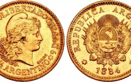 Una histórica moneda Argentina vale 70 mil dólares