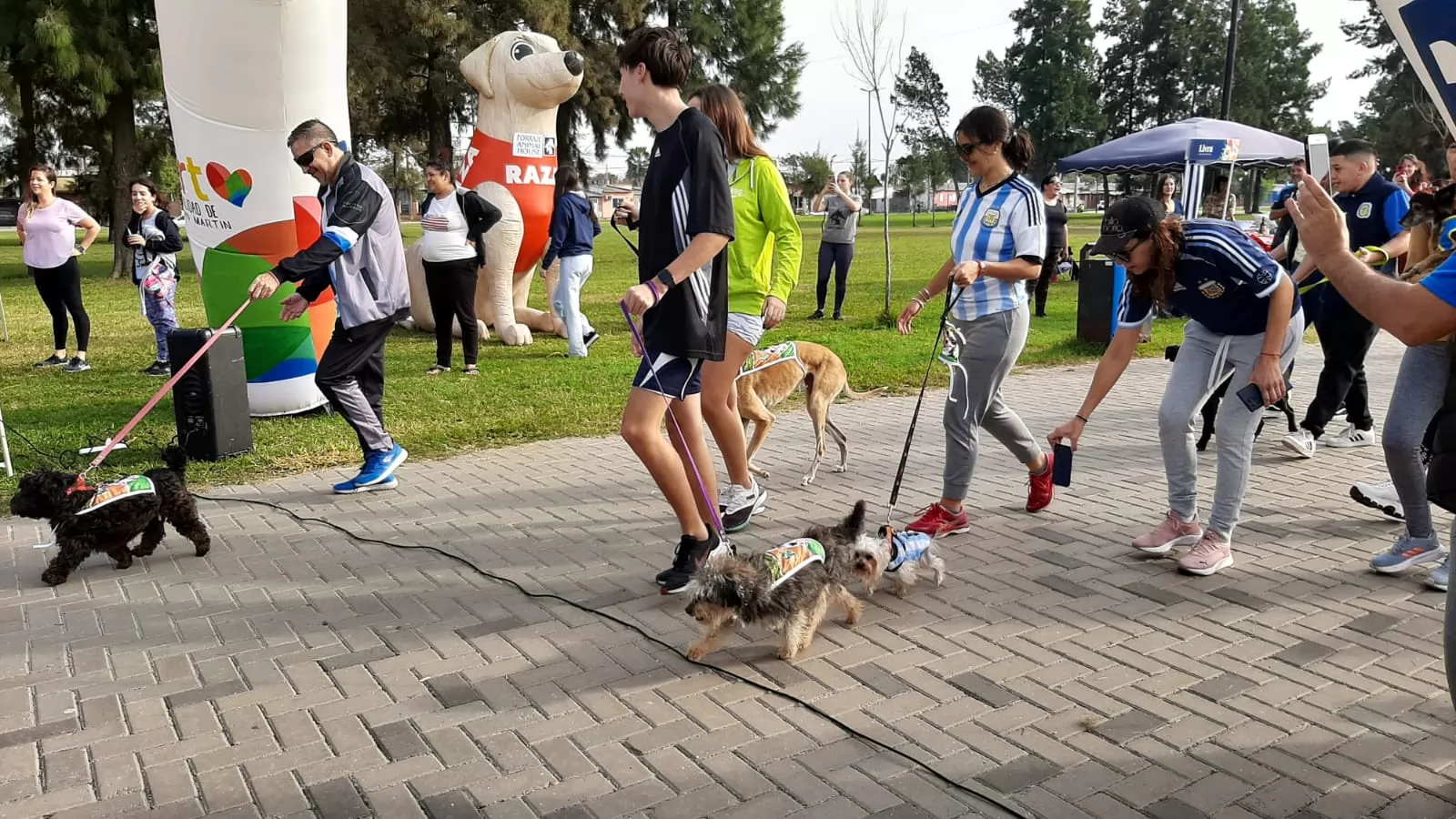 Se desarrolló la primera maratón canina solidaria en Puerto San Martín