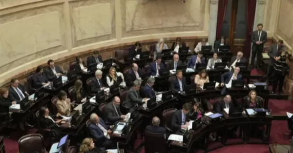 El Senado rechazó 