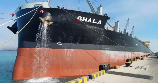 Puerto San Martín: Alerta nacional por la desaparición de un tripulante sirio que desembarcó en la región y no regresó al buque