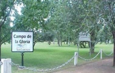 Limpieza de arboles en San Lorenzo