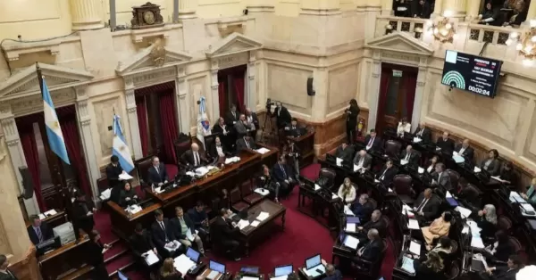 Quedaron suspendidas las PASO nacionales tras el voto positivo del Senado