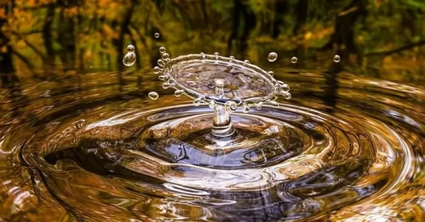 22 de marzo, Día Mundial del Agua: “agua para la paz”
