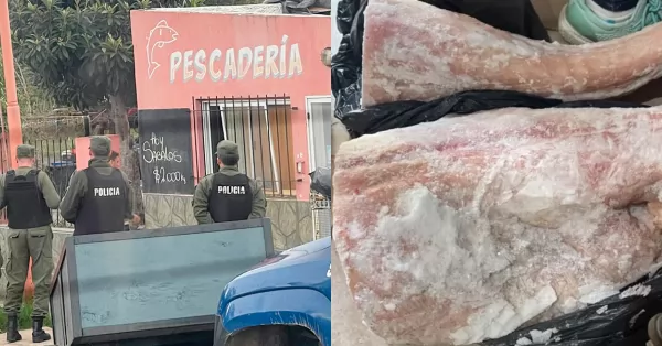 Puerto: allanaron una pescadería que vendía carne de yacaré, carpincho y jabalí de forma ilegal