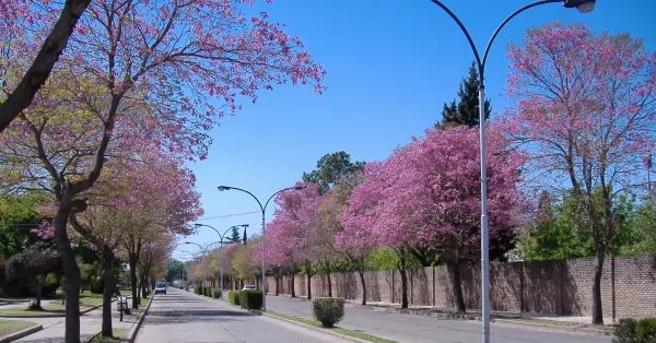 La previa del feriado viene con buen clima que continuará hasta el sábado