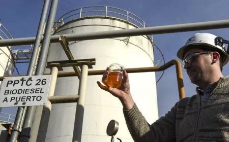 Productores de biodiesel advierten por una crisis sin precedentes y responsabilizan al Gobierno nacional
